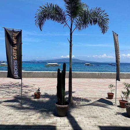 Papa Freds Beach Resort Puerto Galera Bagian luar foto