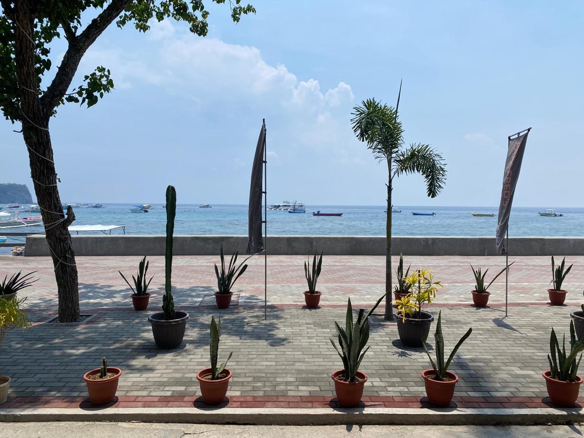 Papa Freds Beach Resort Puerto Galera Bagian luar foto