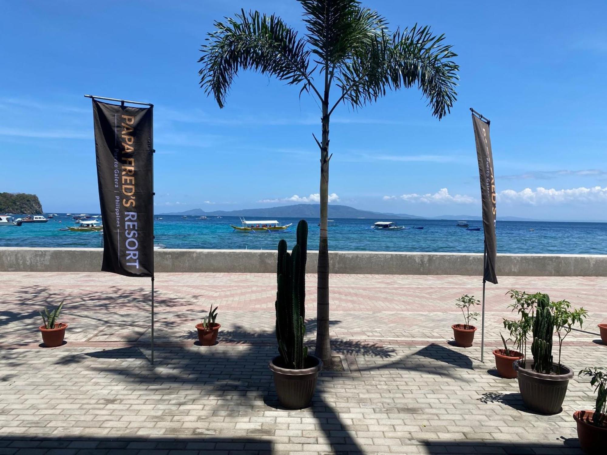 Papa Freds Beach Resort Puerto Galera Bagian luar foto